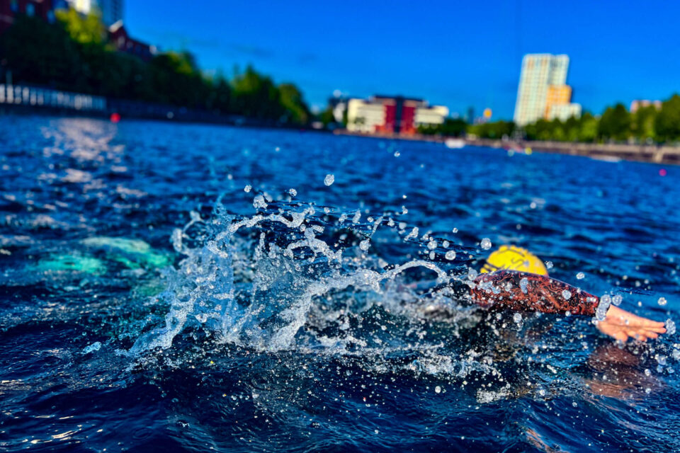 Water Quality